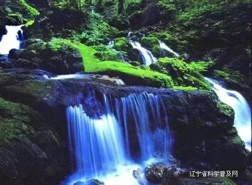 内向 有错吗?
